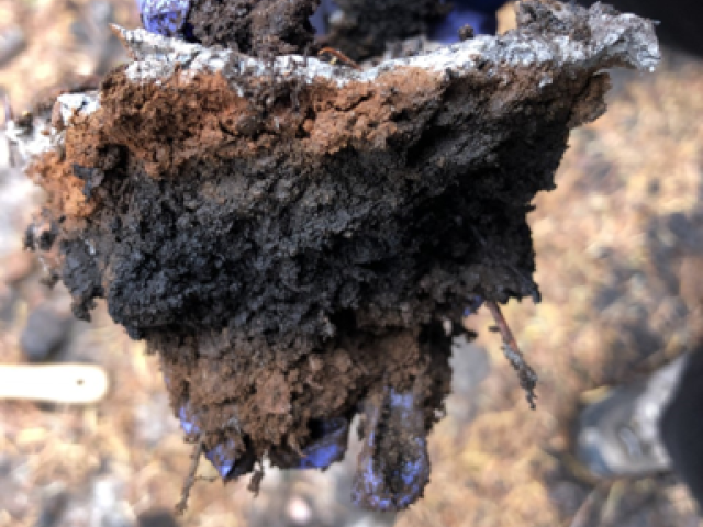 sample of burned soil
